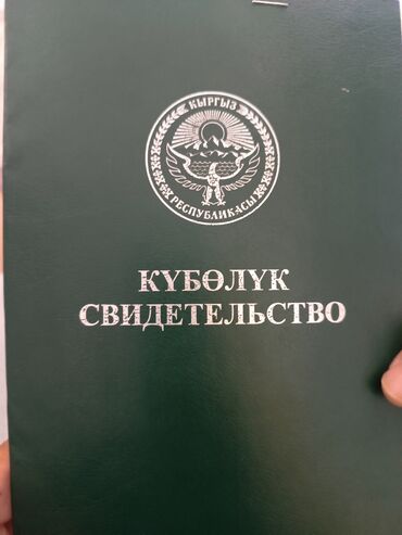 дом савхоз фрунзе: 60 соток