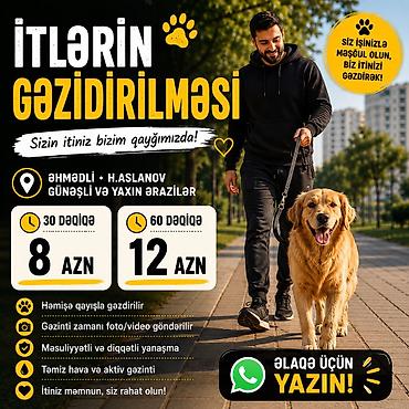 it səkilləri: İtlərin gəzdirilməsi xidməti Sizin itinizi etibarlı şəkildə, qayğı — 1