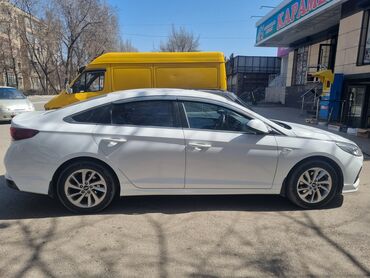 hyundai sonata 1995: Hyundai Sonata: 2019 г., 2 л, Автомат, Газ, Седан