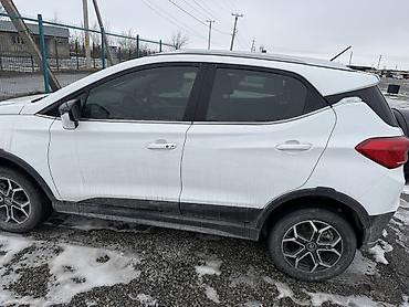 BYD: BYD Yuan: 2020 г., Электромобиль, Кроссовер — 12