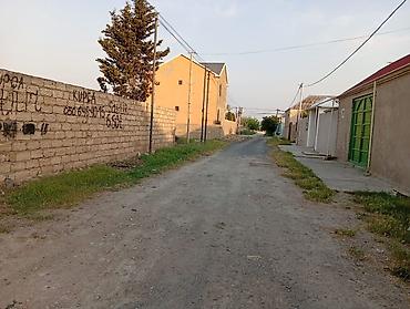 savalan torpag: Tikinti, Kupça (Çıxarış) — 1