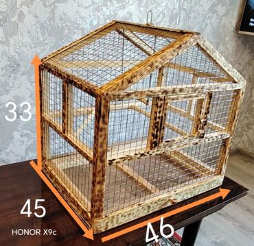 qus nomreleri: Qəfəs. Yeni. 25 manat