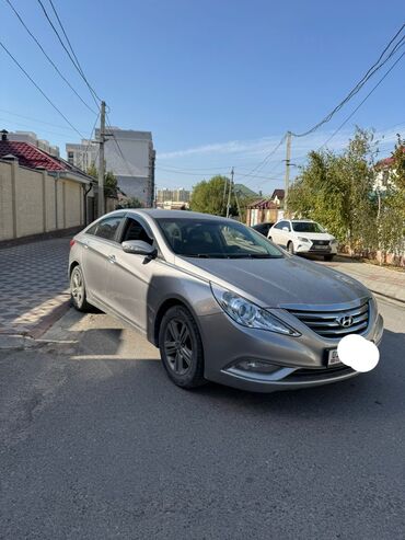 Hyundai: Hyundai Sonata: 2009 г., 2 л, Автомат, Бензин, Седан