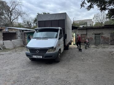 спринтер дубль кобина: Легкий грузовик, Mercedes-Benz, Стандарт
