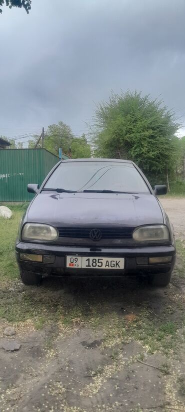 Volkswagen: Volkswagen Golf: 1992 г., 1.8 л, Механика, Бензин, Хэтчбэк