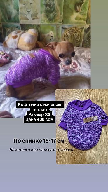 Зоотовары: Одежда для кошек и собак. Все НОВОЕ РАЗМЕР И ЦЕНА УКАЗАНЫ НА ФОТО — 8