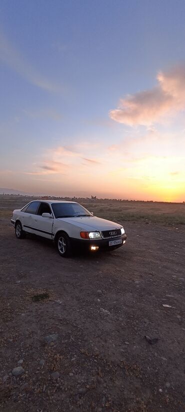 бишкек ауди: Audi 100: 1991 г., 2.3 л, Механика, Бензин, Седан