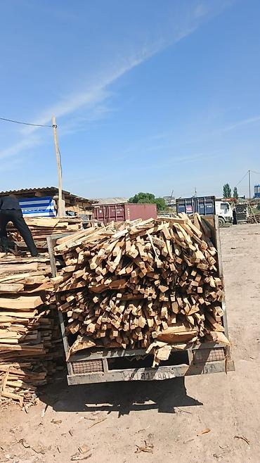 softech kg: Заказать Хендай портер, Вывоз строй мусора, C грузчиком — 2