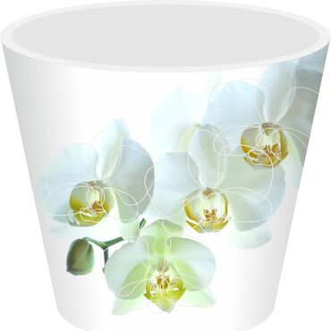 бамбук цветы: Горшок для цветов с дренажной вставкой InGreen коллекция London Orchid