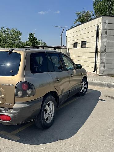 Hyundai: Hyundai Santa Fe: 2003 г., 2.7 л, Автомат, Газ, Внедорожник — 10