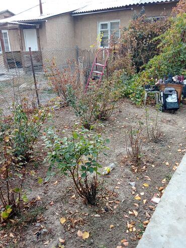 Продажа домов: Коттедж, 67 м², 3 комнаты, Собственник, Косметический ремонт — 4