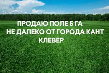 сдаю дом без хозяина бишкек: 500 соток, Для сельского хозяйства