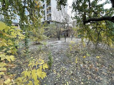 Продажа участков: 8 соток, Для бизнеса, Красная книга, Тех паспорт, Договор купли-продажи — 9