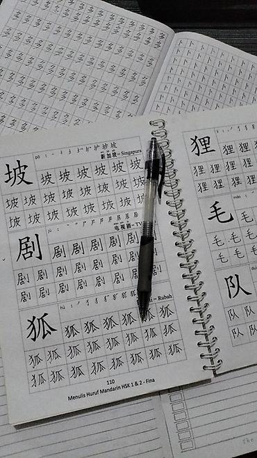 Учебники: 🇨🇳 Репетитор по китайскому языку Провожу индивидуальные занятия по — 1