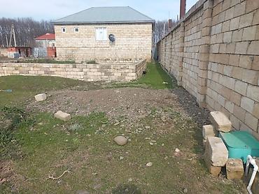 hovsanda torpaq satilir 2025: 6 sot, Tikinti, Mülkiyyətçi, Kupça (Çıxarış) — 1