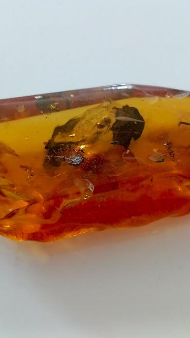 Qiymətli daşlar: Kəhrəba, Pulsuz çatdırılma — 22