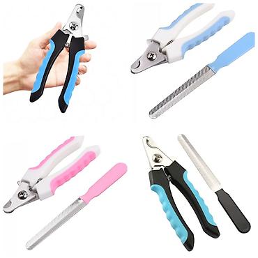 Зоотовары: ПРОДАЮ СУПЕР ПРОЧНЫЙ МЯЧЬ ДЛЯ СОБАК,А ТАК ЖЕ — 25