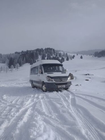 гольф дизель: Mercedes-Benz Sprinter: 2006 г., 2.2 л, Механика, Дизель, Бус