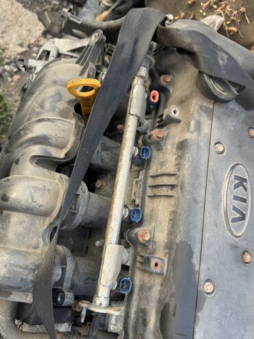 Двигатели, моторы и ГБЦ: Двигатель Kia Ceed 2007 Контрактный из Германии, в отличном — 7