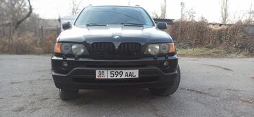 BMW: BMW X5: 2003 г., 3 л, Автомат, Бензин, Кроссовер — 10