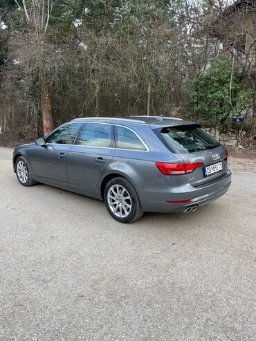 Audi: Audi A4: 2 l. | 2016 έ. Πολυμορφικό — 12