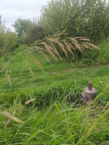 xaçmaz motoblok satışı: Kənd təsərrüfatı — 2