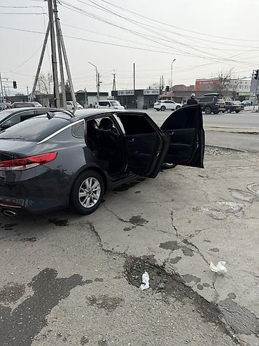аренда kia optima: Kia Optima: 2017 г., 2.4 л, Автомат, Бензин, Седан — 5