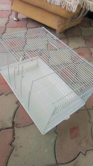 купить клетку для декоративного кролика: Клетки для птиц и грызунов. состояние отличное, цены демократичные)