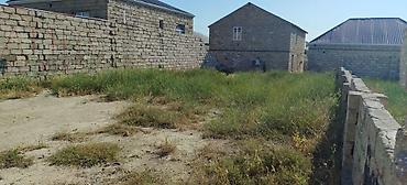 bine sovxoz: 3 sot, Tikinti, Makler — 2