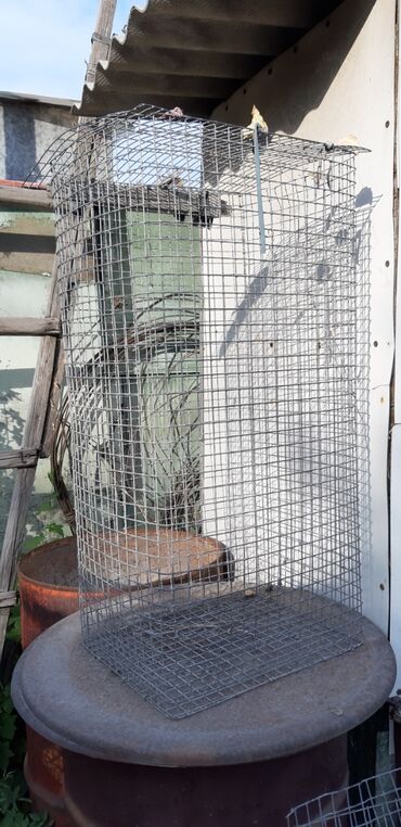 вольер для йорка: Клетка для птицы, кроликов