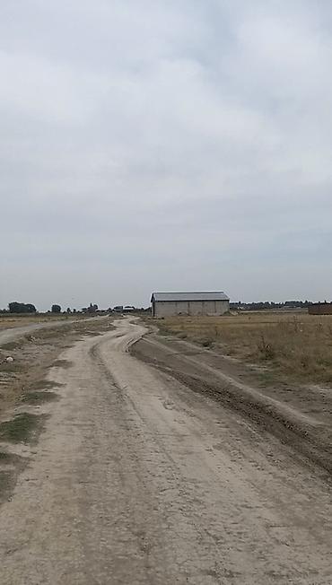 участок кызыл байрак: 423 соток, Для строительства — 2