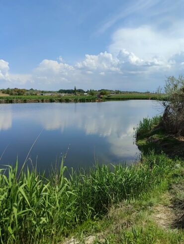 Продажа участков: 600 соток, Для бизнеса, Красная книга — 11