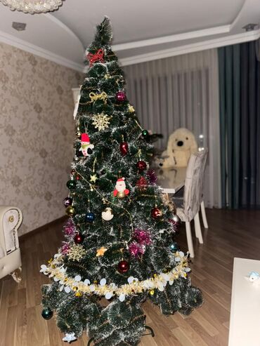 Yeni il ağacları: 1.85 hündürlüyündə şam ağacı TƏCİLİ satılır və üzərində bütün -da lalafo.az — 14 Yeni il ağacları: 1.85 hündürlüyündə şam ağacı TƏCİLİ satılır və üzərində bütün — 14