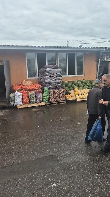 диспут аз работа: Rus pasportu vacibdi. !Rusiyyada Meyve bazasinda islemeye hem satici — 1