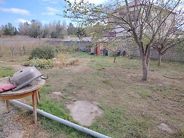 Həyət evləri və villaların satışı: NOVXANL BAĞLARI DƏNİZ KƏNARI 12 DAŞ KÜRSÜLÜ QİYMƏTDƏ ENDİRİM OLUNACAQ — 8