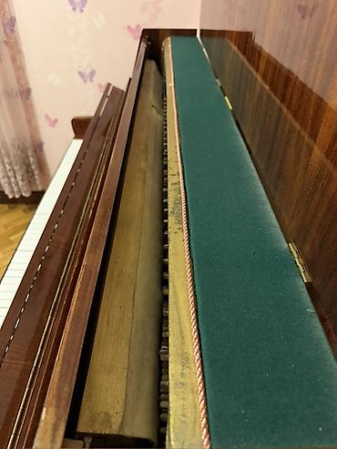 saz gence: Upright royal pianino - Korpus: parlaq cilalı, tünd taxta teksturalı — 3