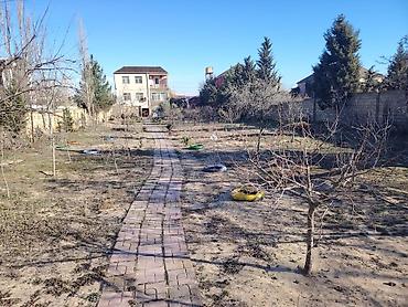 goredil: 15 sot, Tikinti, Maklerlər narahat etməsin, Kupça (Çıxarış) — 3