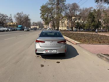 крыша жапкан уста керек: АРЕНДА АВТО год2023 возраст 25,55 аренда 2000 бир айда 2вых ходовка — 5