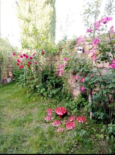 Günlük kirayə evlər: 80 kv. m, 3 otaqlı, İnternet, Telefon, Qaz — 6