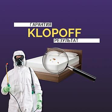 Дезинфекция, дезинсекция: Дезинфекция, дезинсекция, | Клопы, | Подъезды, Дома, Квартиры — 1