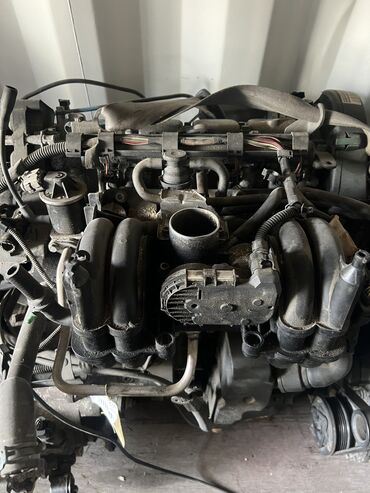 голыф 4: Бензиновый мотор Volkswagen 1998 г., 1.4 л, Б/у, Оригинал, ОАЭ