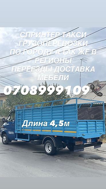 жуки: Заказать Мерседес грузовой спринтер, C грузчиком — 2