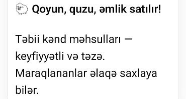 et satisi: Qoyun, quzu və əmblik satılır! Təbii kənd məhsulları — keyfiyyətli və — 1