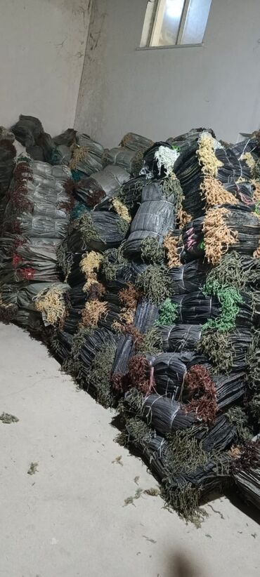 Başqa xidmətlər: Məhsul: Polipropilen torbalar. Xüsusiyyətlər: - Material: möhkəm PP — 7