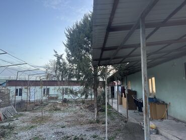 дом ак оргоо: Сдается жилой дом с придомовой территорией и хозпостройками. Мебель