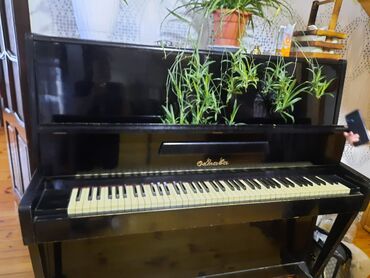 Divanlar: Oktava pianino 200azn. Problemi yoxdur. Tecili satilir. Unvan Yeni