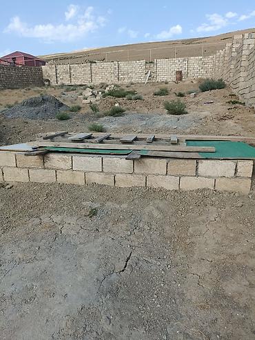 kurdəxani torpaq: 8 sot, Tikinti, Mülkiyyətçi, Kupça (Çıxarış), Texniki pasport — 5