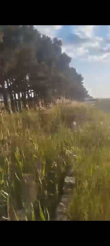 Torpaq sahələrinin satışı: 14 sot, Kənd təsərrüfatı, Mülkiyyətçi, Bələdiyyə — 6