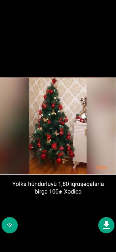 Yeni il ağacları: Yolkalar şaxda baba sekillerde qiymət məlumat qeyd olunub unvan Gence -da lalafo.az — 21 Yeni il ağacları: Yolkalar şaxda baba sekillerde qiymət məlumat qeyd olunub unvan Gence — 21