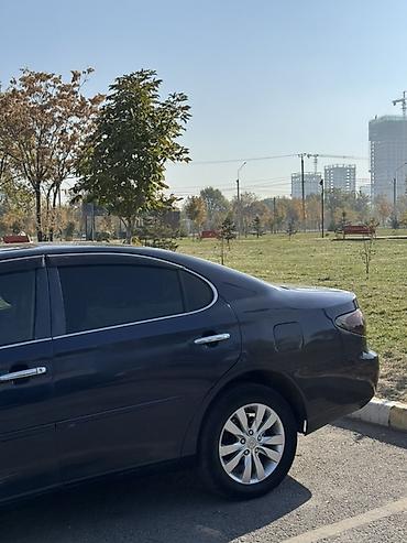 ес 250: Lexus ES: 2004 г., 3 л, Автомат, Газ, Седан — 5
